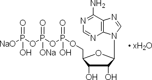 腺苷-5"-三磷酸二钠盐,水合物 cas号:34369-07-8 货期: 立即询盘