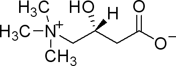 cas:541-15-1|左旋肉碱|l(-)-carnitine |湖北弘景